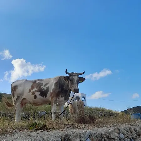 Apartment Aggeliki's *