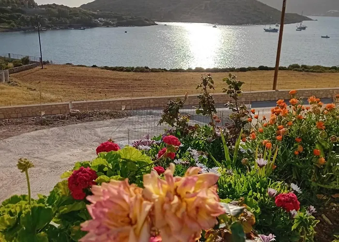 Apartment Aggeliki's *