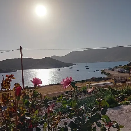 Aggeliki's *