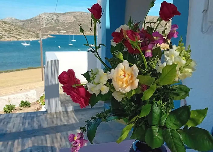 Aggeliki's شقة ليبسوي